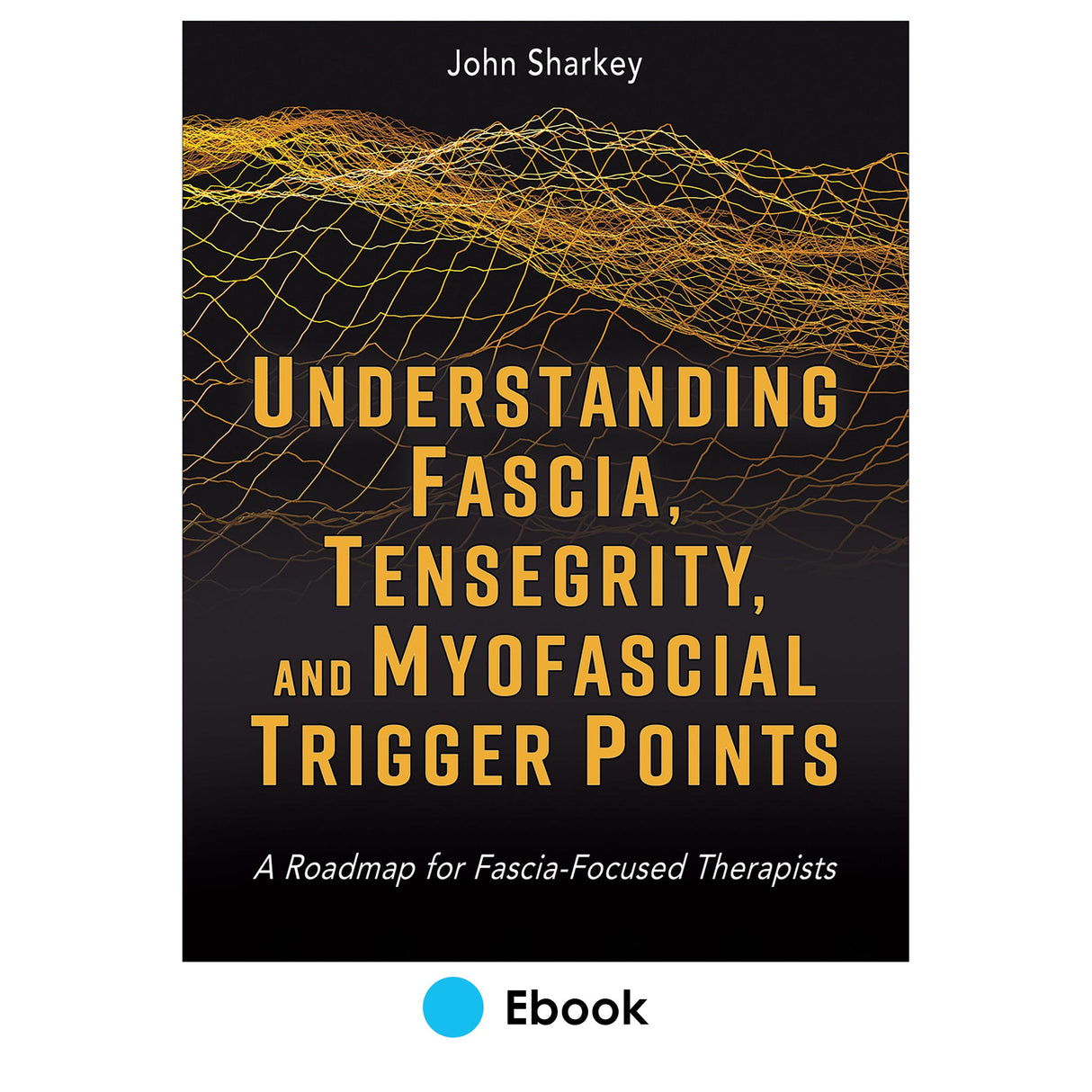 Understanding Fascia, Tensegrity, and Myofascial Trigger Points epub