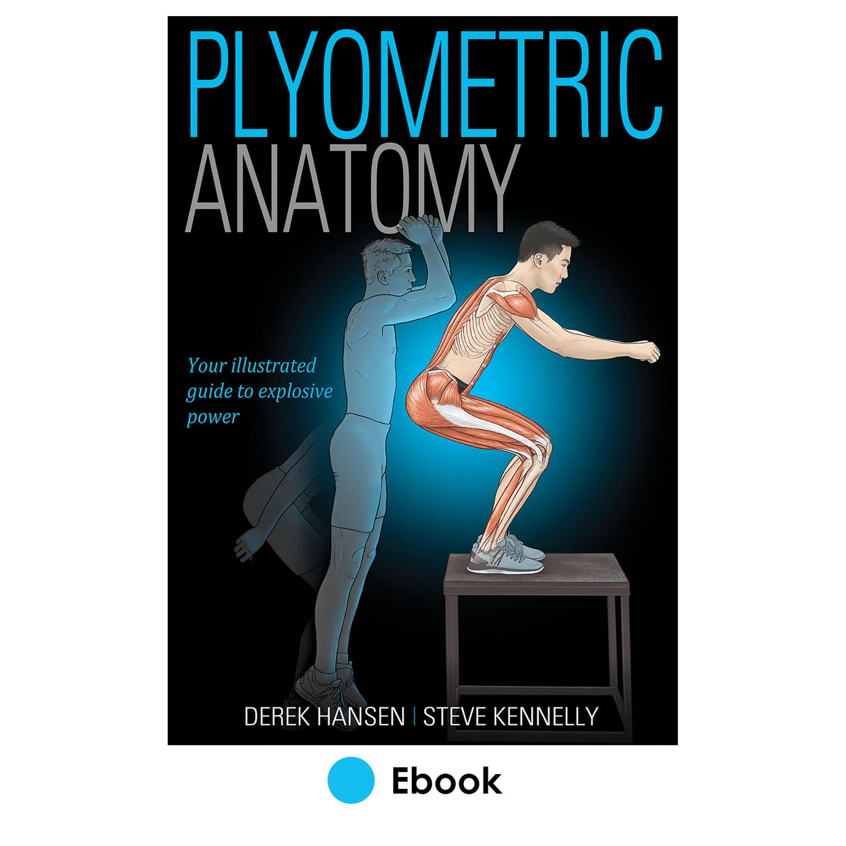 Plyometric Anatomy PDF