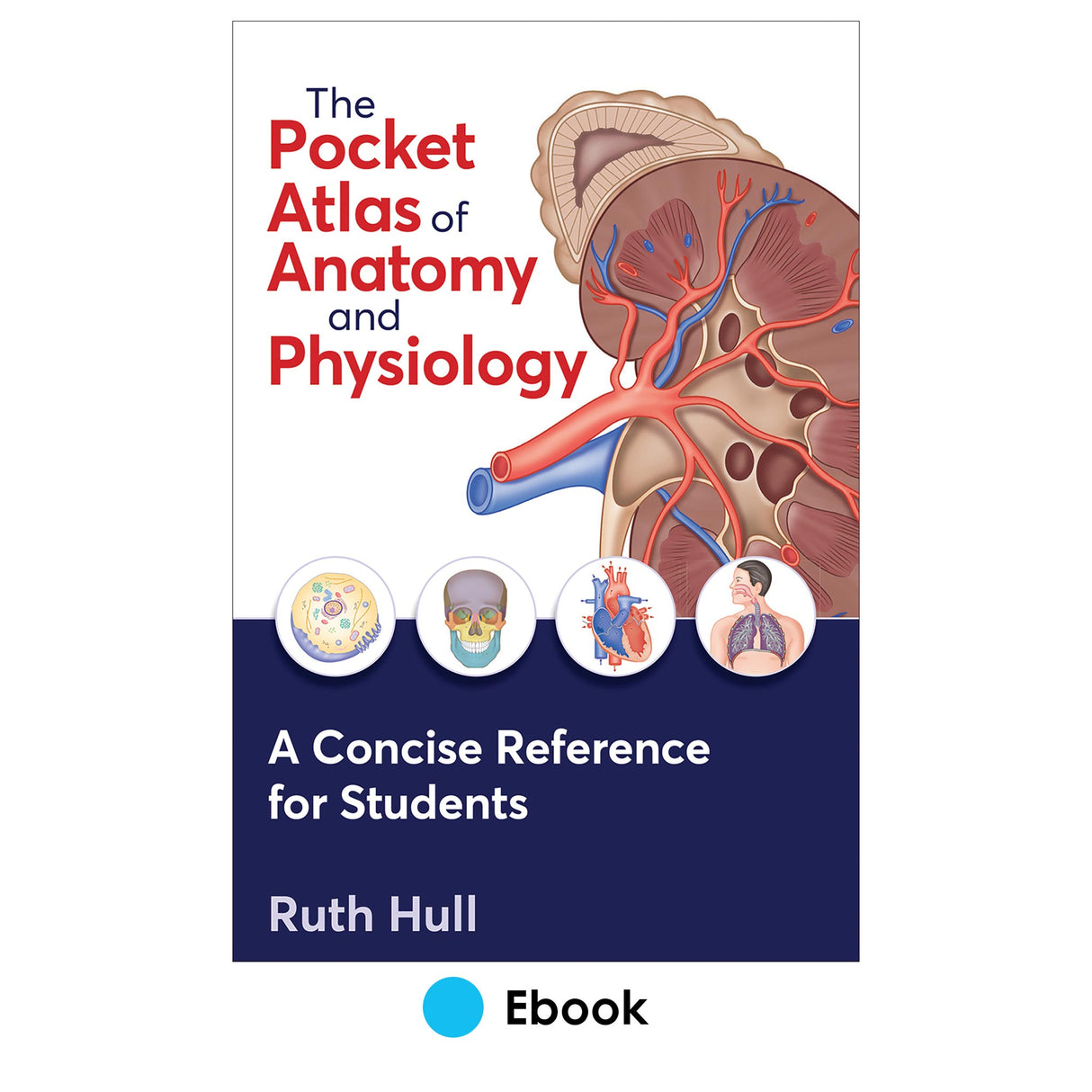 Pocket Atlas of Anatomy and Physiology epub, The