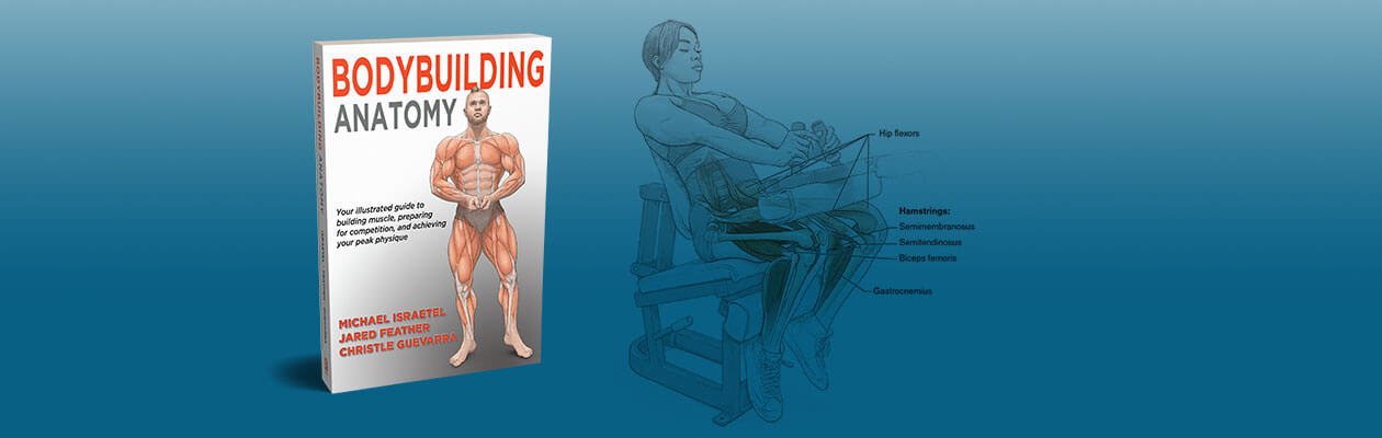 Cover of Bodybuilding Anatomy