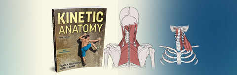 Kinetic Anatomy, Fifth Edition