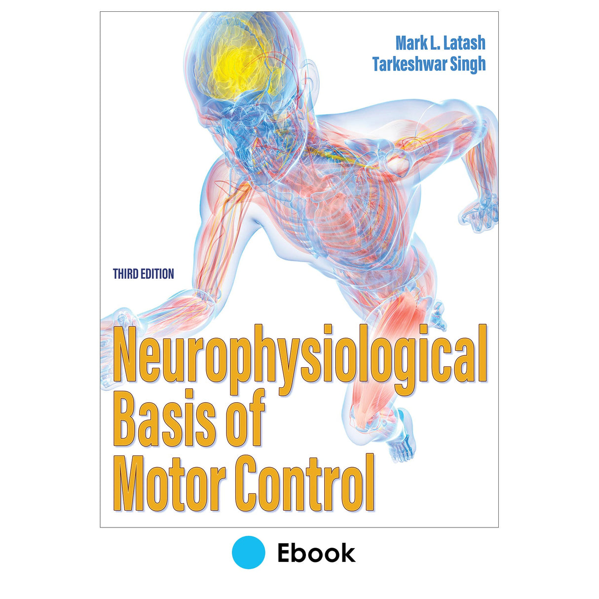Neurophysiological Basis of Motor Control 3rd Edition epub