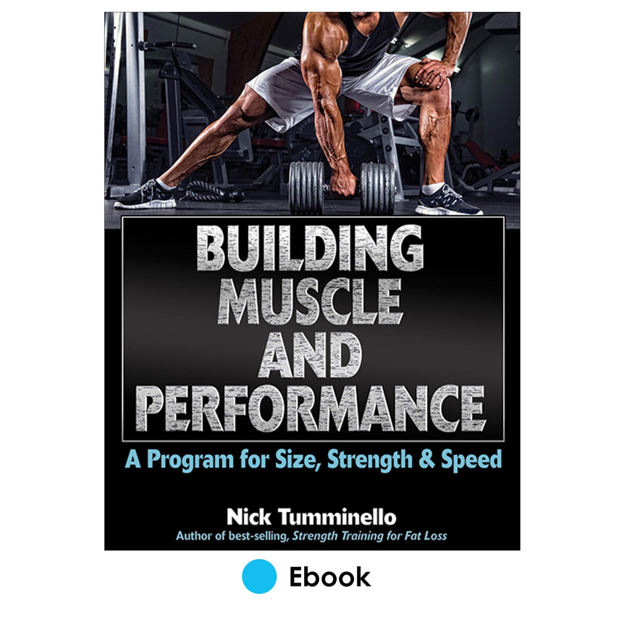 Building Muscle and Performance PDF