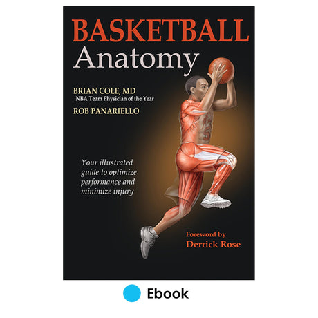 Basketball Anatomy PDF