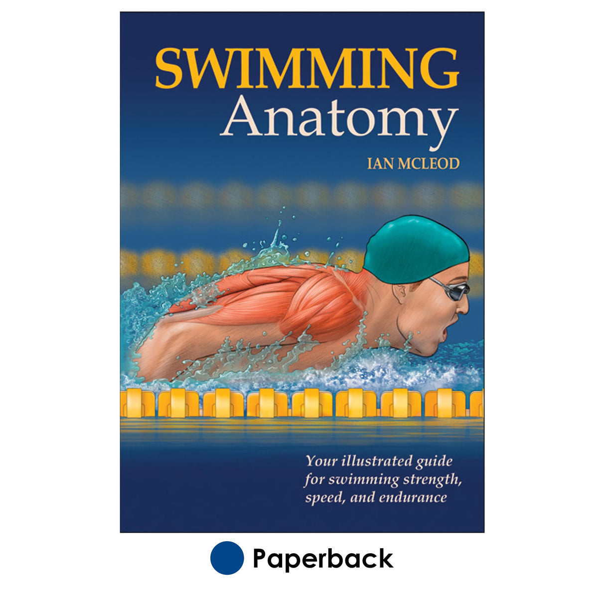 Swimming Anatomy