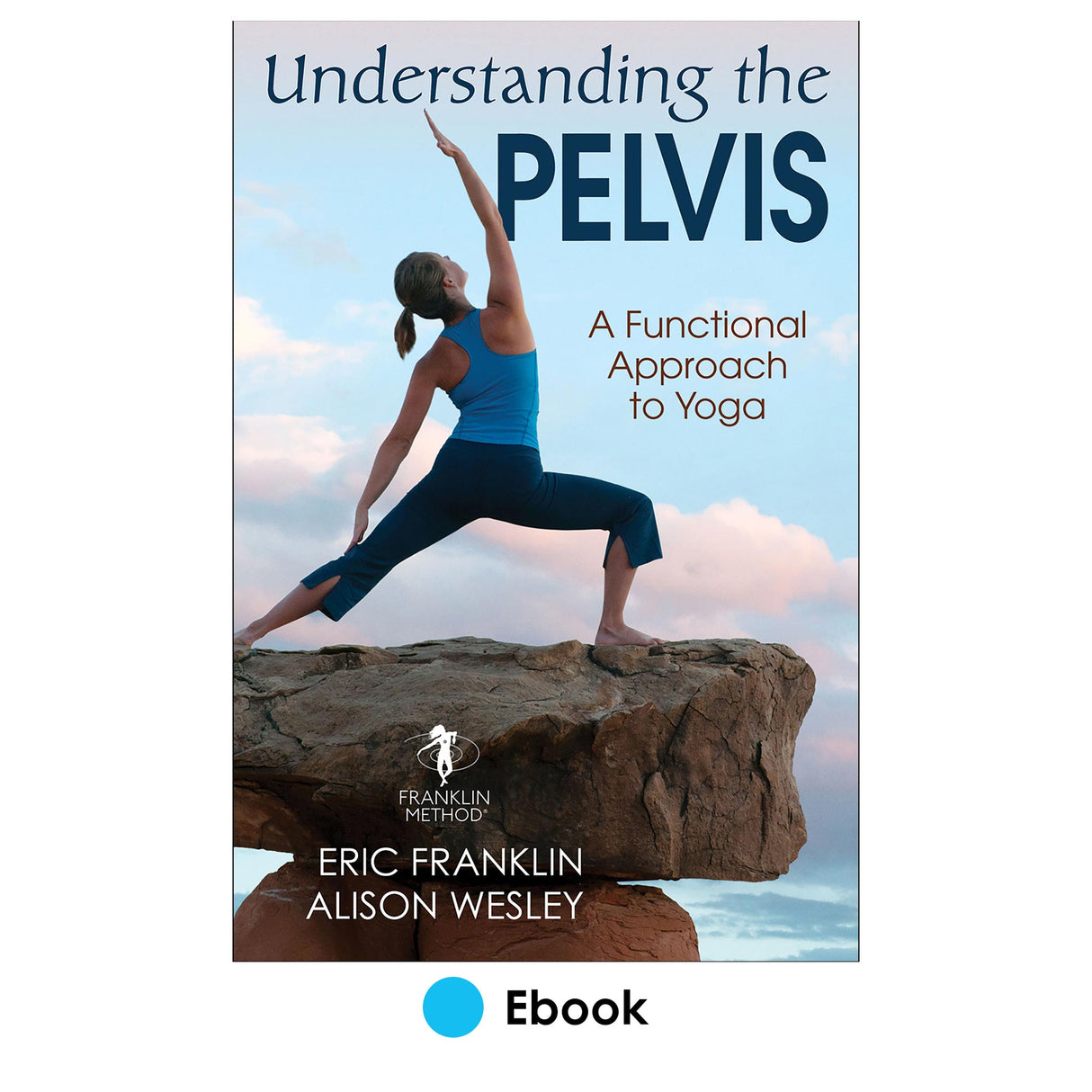 Understanding the Pelvis epub