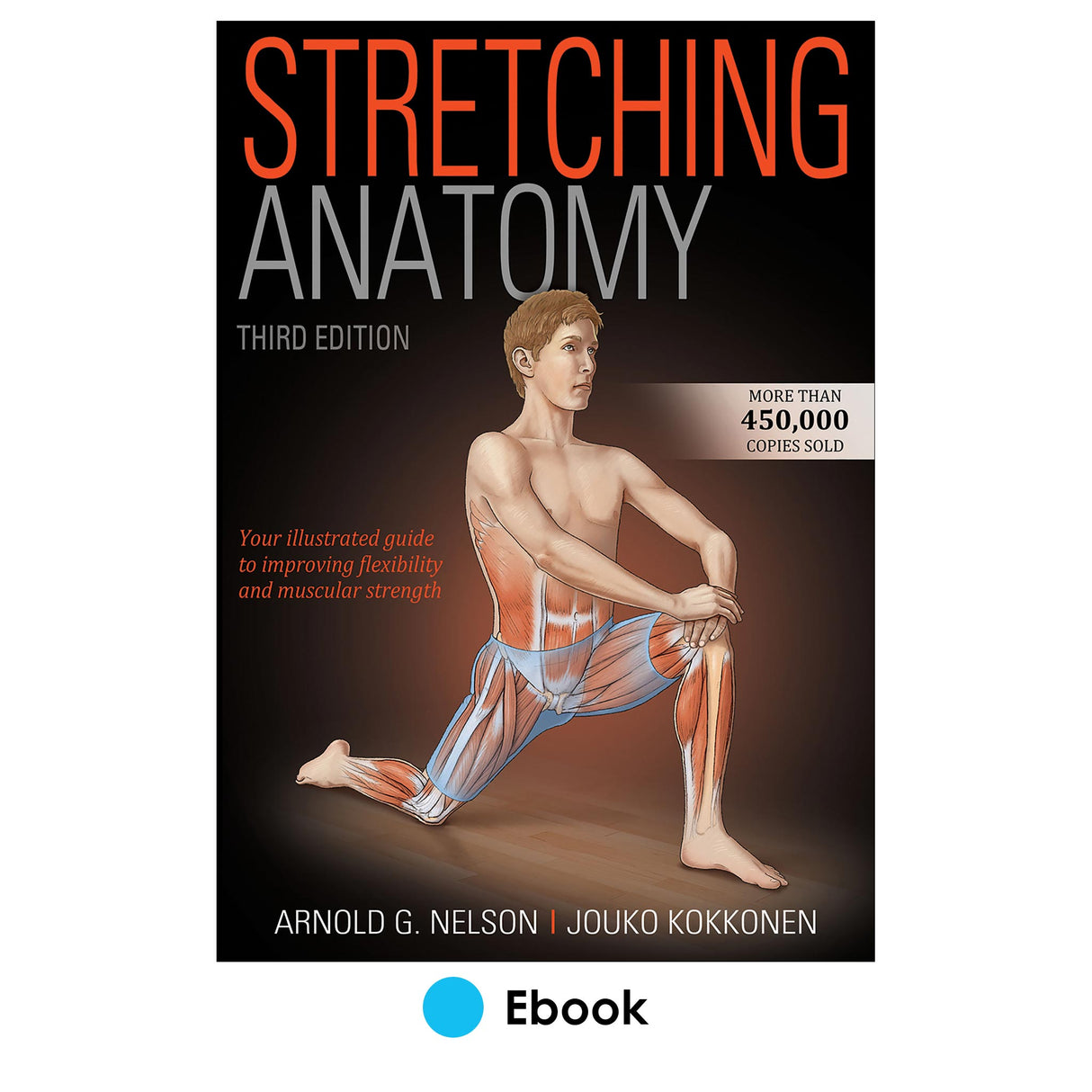 Stretching Anatomy 3rd Edition epub