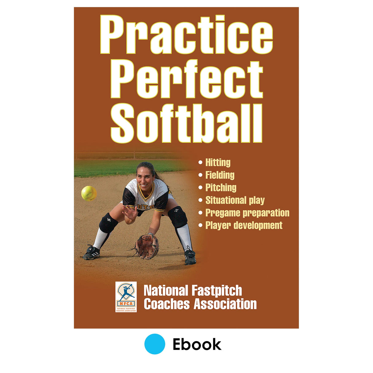 Practice Perfect Softball PDF