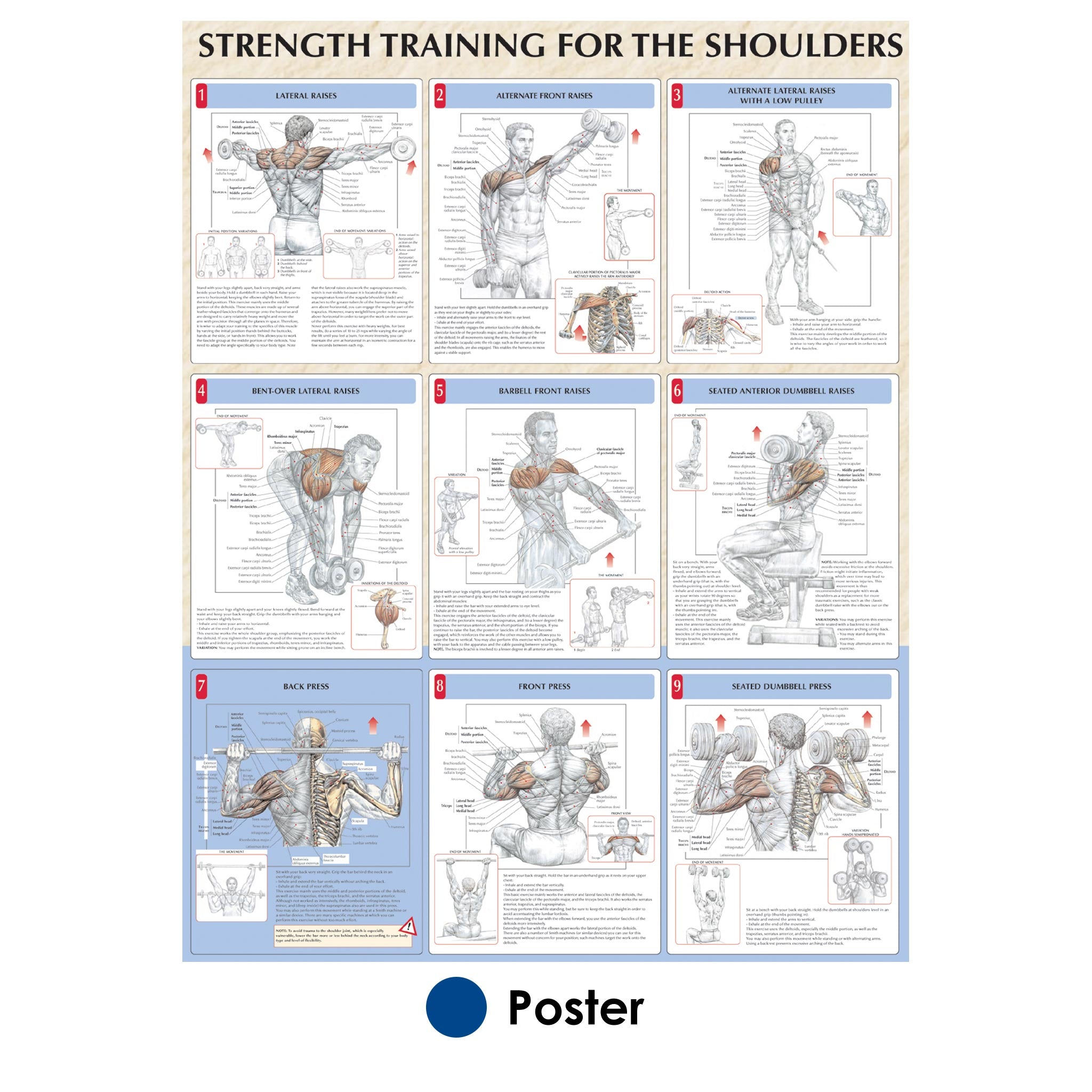 Shoulder strength best sale training exercises