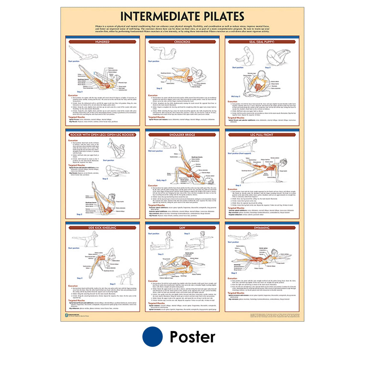 Intermediate Pilates Poster – Human Kinetics