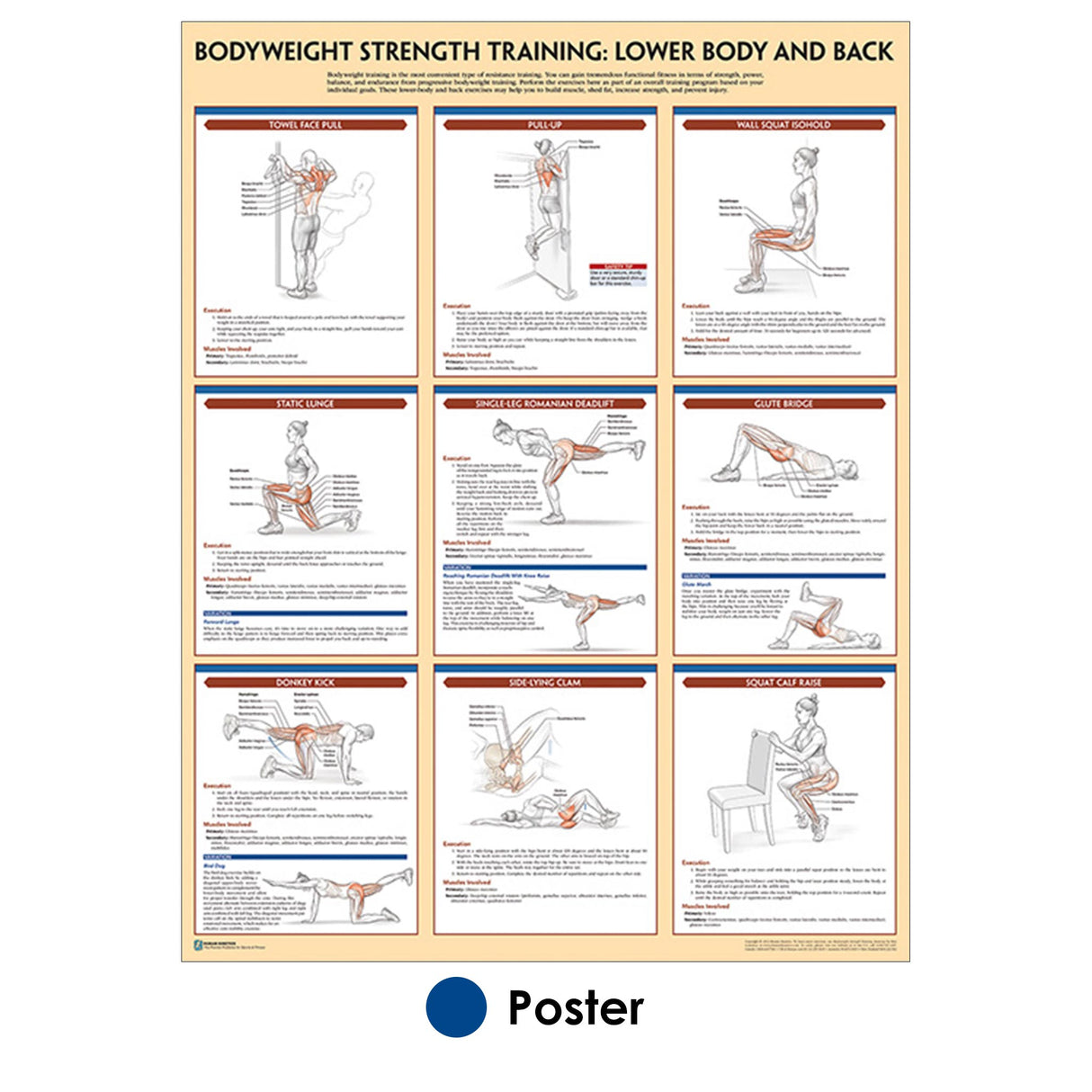 Bodyweight Strength Training Poster: Lower Body and Back – Human Kinetics