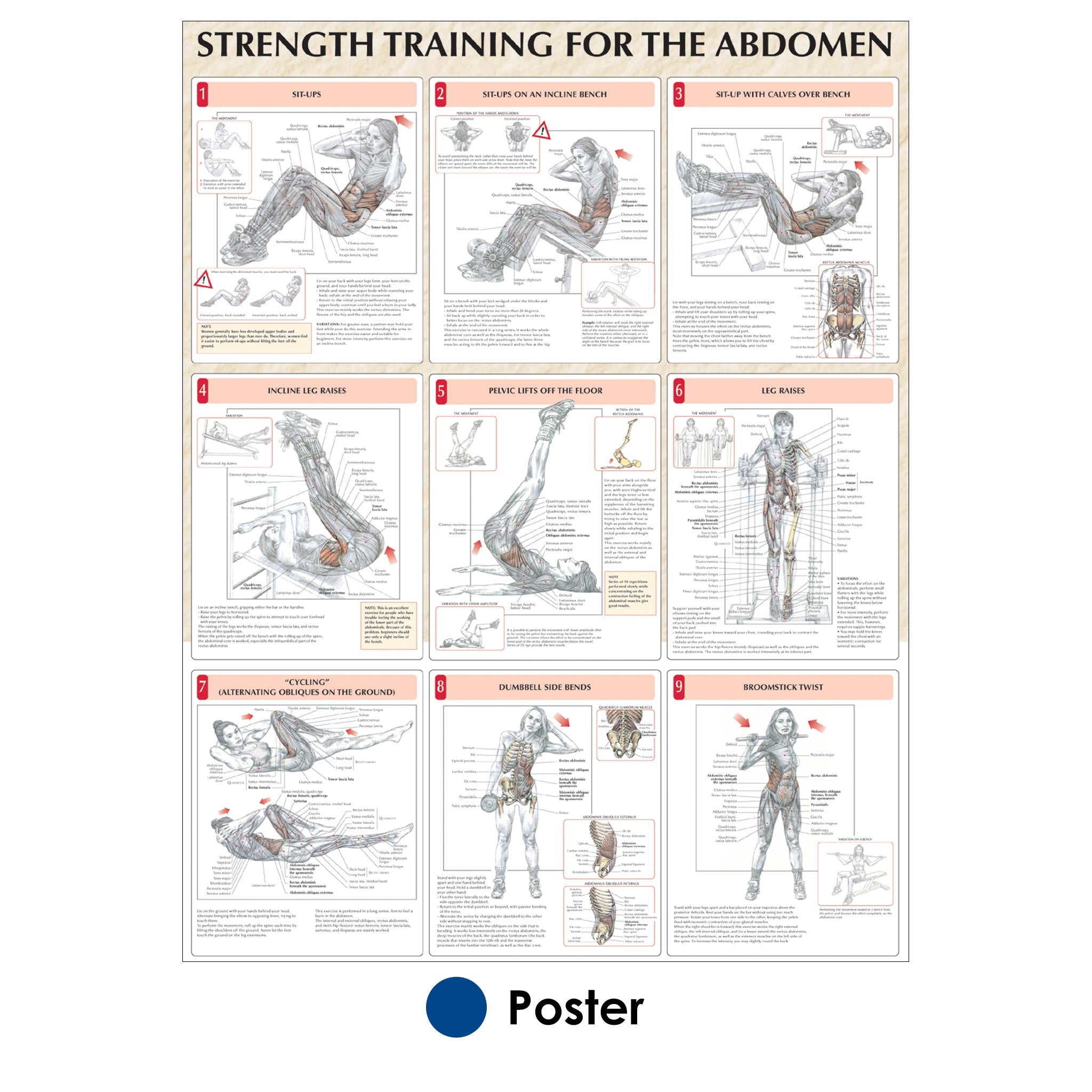 Abdominal strength training sale