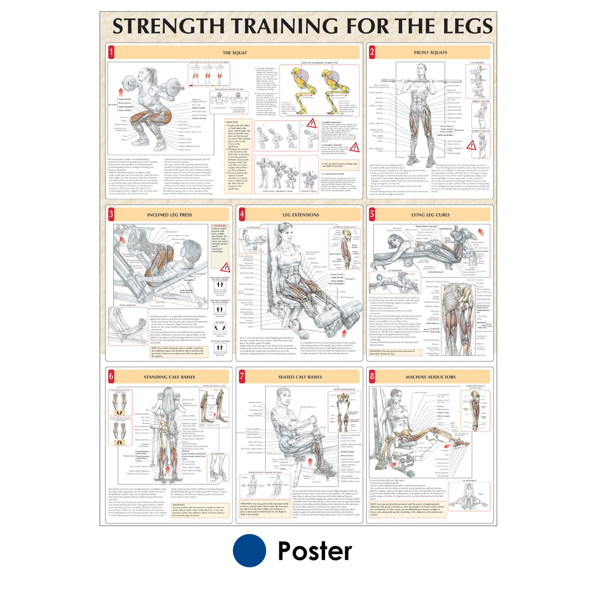 Strength Training for the Legs Poster