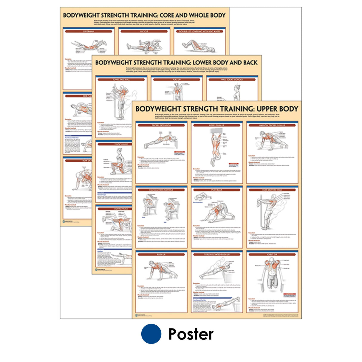 Gym Workout Poster All Body Bicep Triceps Chest Back Leg Exercise Chart 