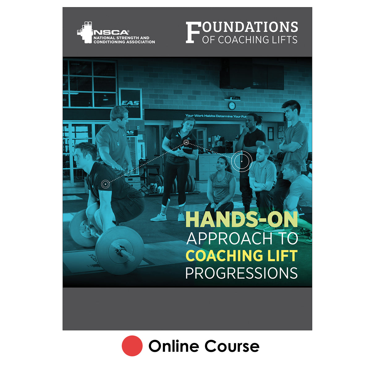 NSCA’s Foundations of Coaching Lifts Online Course, Academic Version