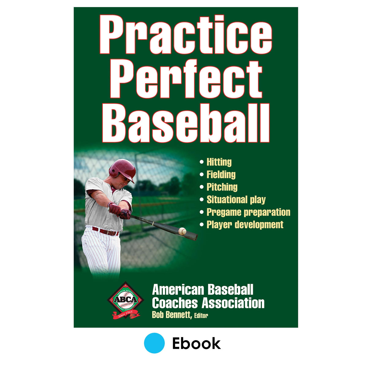 Practice Perfect Baseball PDF