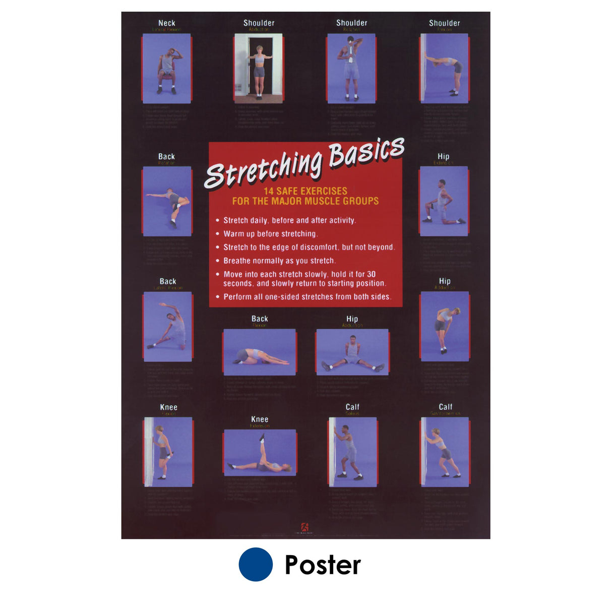 Stretching Basics Poster