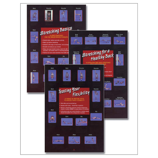 Humans Exercise Poster Stretching/Flexibility Posters Set – Human Kinetics
